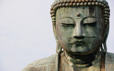 Buddha Code – die vier edlen Wahrheiten und der edle achtfache Pfad